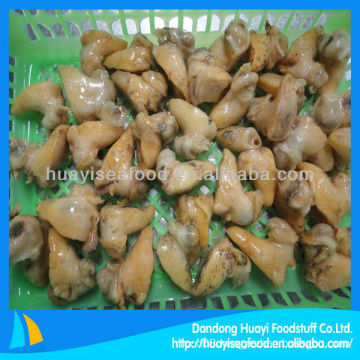 frozen whelk meat(Buccinum Undatum)